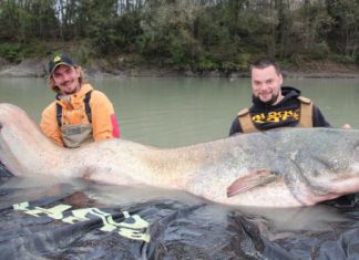 Waller-Knaller zum Jahresabschluss