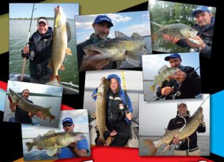 Shimano-Raubfischprofis stellen sich vor