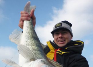 Der Winter kommt – und mit ihm die Zander