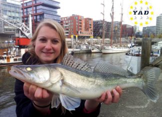 Neue Teamanglerin bei „YAD fishing“