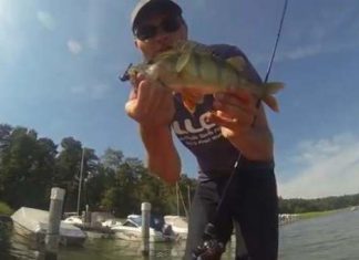 Wurftechniken mit der Multirolle