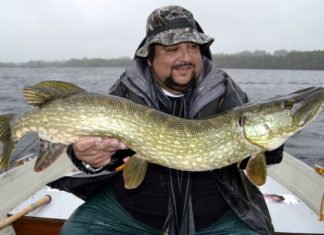 Platz 10 beim „Journalistenpreis Irland“