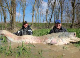 Bodden-Profis im Wallerhimmel
