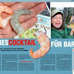 Meerescocktail für Barsche