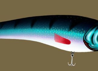 Wir sind überwältigt!