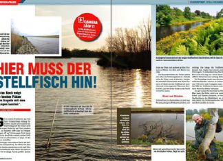 DER RAUBFISCH 6/2014