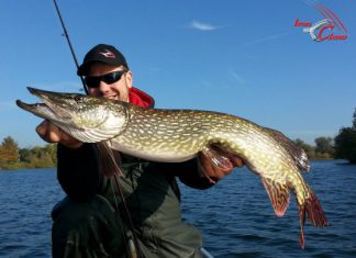 Sänger-Rapper fängt Meterhecht