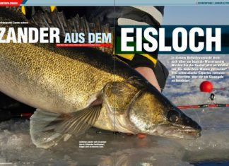 DER RAUBFISCH 1/2015