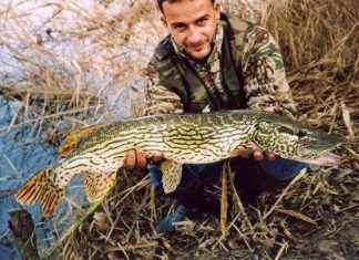 Der Hechtpapst öffnet sein Archiv, Teil 14