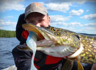 Eine Frage der Farbe