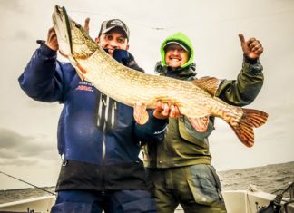 Hybrida Hardbait-Seminar