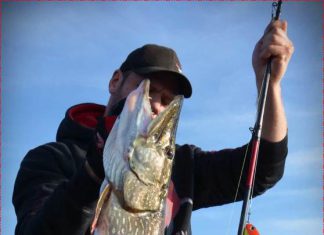 Motoroil bei Sonnenschein