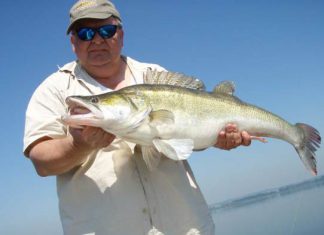 Mr. Kopyto verstorben