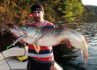 131er Hecht zum Saisonbeginn