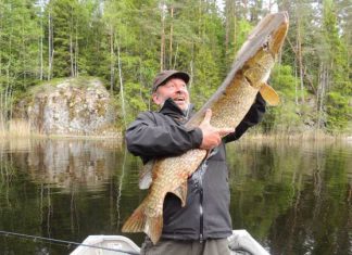 Riesenhecht trotz Rutenbruch