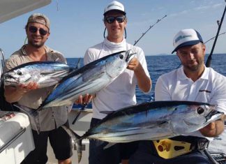 Johnny ist der Thunfisch-Champ