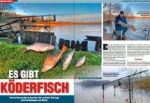 DER RAUBFISCH 6/2016