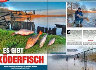 DER RAUBFISCH 6/2016