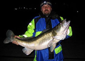 Tolle Zander zum Jahreswechsel