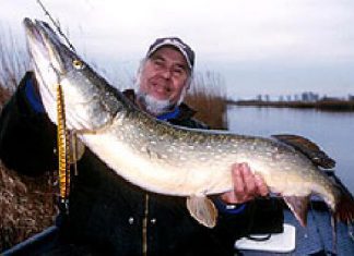 Neues von Jan Eggers