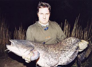 Frühlings-Waller aus dem Rhein