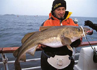 Norwegen: Din-Tur-Team bei Laichdorsch-WM und Lofotencup