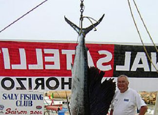 Senegal: Neuer Sailfish-Rekord