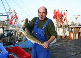 Fischern über die Schulter geschaut