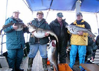 „Die Dickdorsche sind da!“