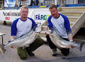 Platz 3 mit Naturködern