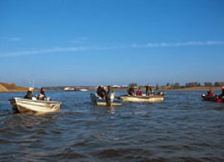 Dringend! Betrifft Vertikal-Seminare 2005