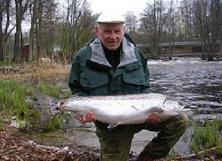 Mörrum-Lachse etwas verspätet