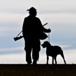 default_online-werben-