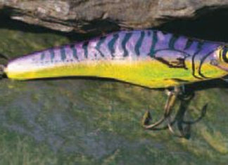 Fanshop – die 2. Köderwelle