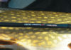 Dauertest: Greys Prowla GS Lure/Spin
