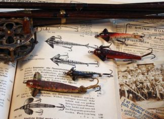 Das Gespenster-Fischchen