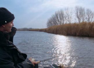 RAUBFISCH-Filme zum Download