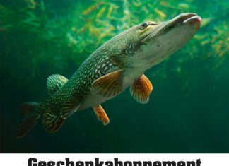 Abo-Gutschein zum Ausdrucken!