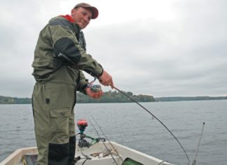 Freischwimmer – Gummifische