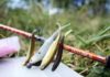 Dauertest: Balzer Outlaw Lure 53