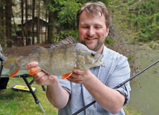 Naturköderangeln auf große Barsche