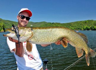 Schwarze Gummifische fangen