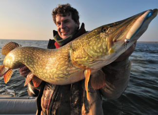 Hechtangeln im Winter