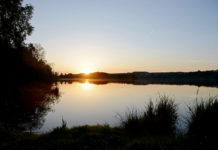 Brombachsee: Fett dank Felchen