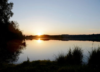Brombachsee: Fett dank Felchen