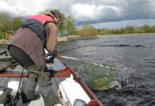 Hechte stippen in Irland