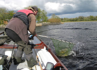 Hechte stippen in Irland