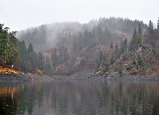 Bleilochtalsperre: Ein Fjord in Thüringen