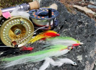 Mit Streamer auf Hecht