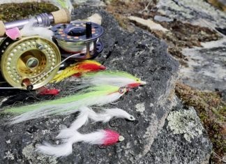 Mit Streamer auf Hechte